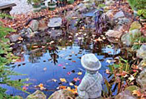 Pond